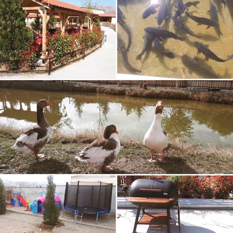 Hotel&Spamontenegro Rivijera Veles Bagian luar foto